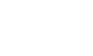Raspberry Flamingo - Copywriting. Consultancy. Training.